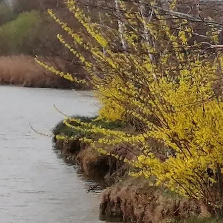 Guest house Reti Tanya Vendeghaz *