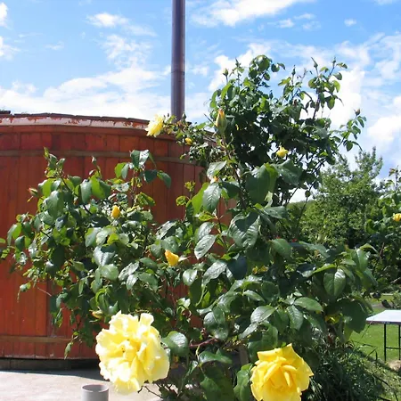 Reti Tanya Vendeghaz Guest house